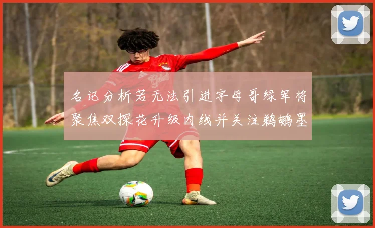 名记分析若无法引进字母哥绿军将聚焦双探花升级内线并关注鹈鹕墨菲