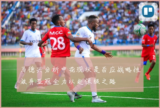 马德兴分析申花现状是否应战略性放弃亚冠全力以赴保级之路